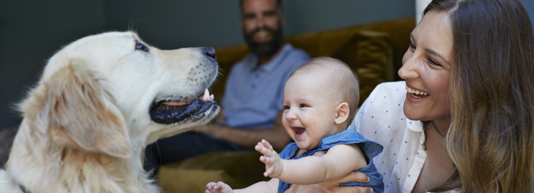 Financial Well-Being: Attaining Wallet Zen